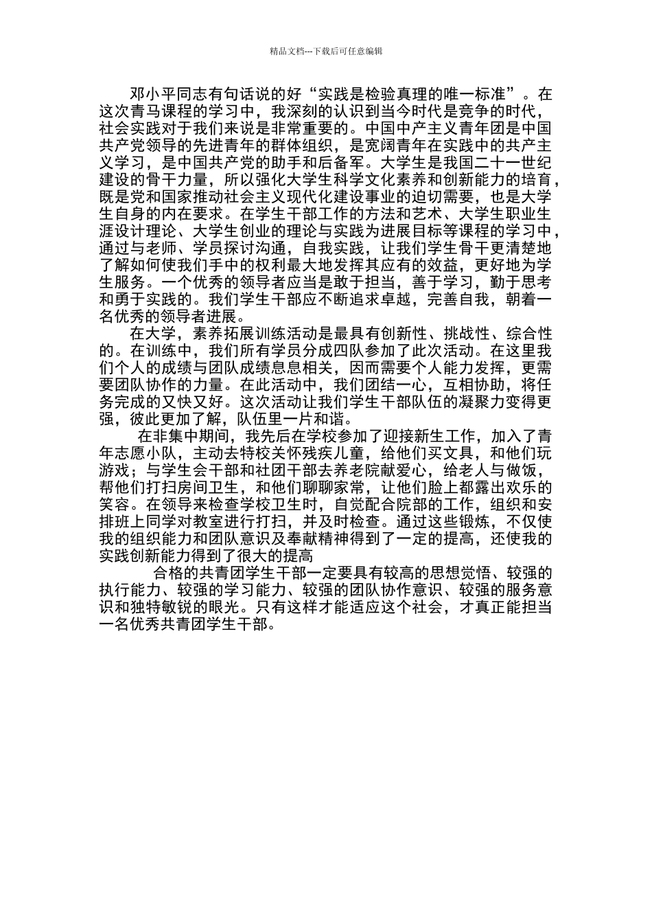 湖南青马社会实践报告_第1页