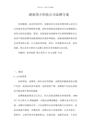 湖南顶立公司品牌方案