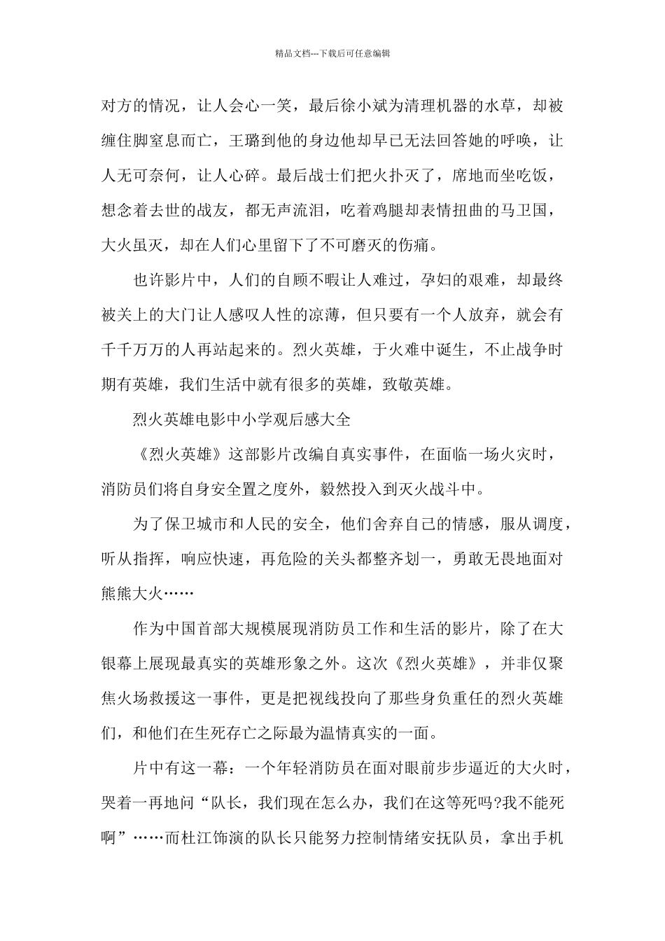 烈火英雄电影中小学观后感2024年5篇_第2页