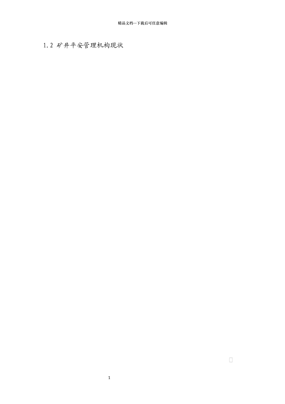 煤业安全风险管控复建前专项评估报告_第3页