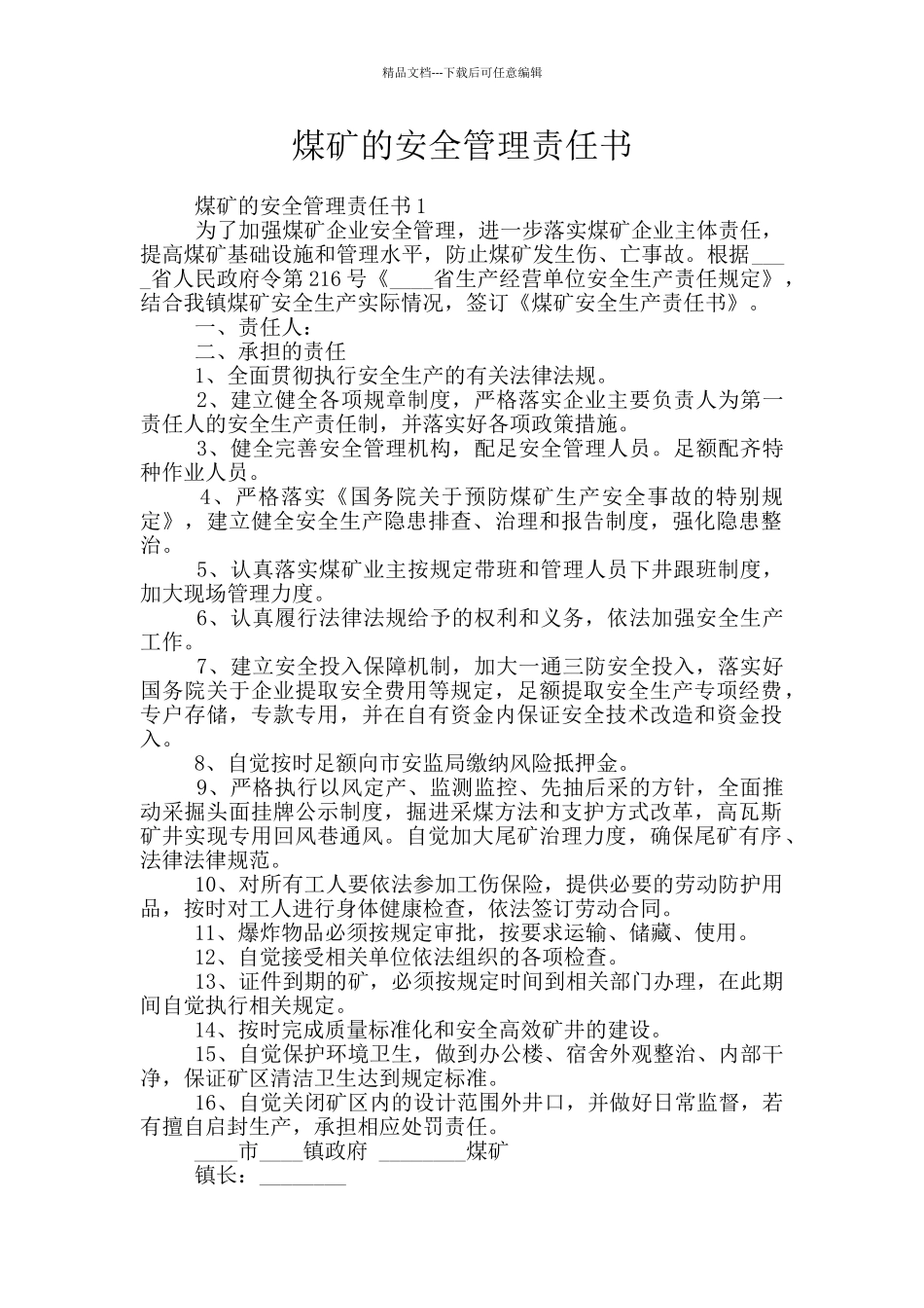 煤矿的安全管理责任书_第1页
