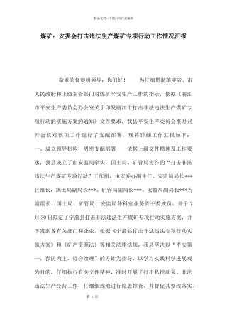 煤矿：安委会打击违法生产煤矿专项行动工作情况汇报