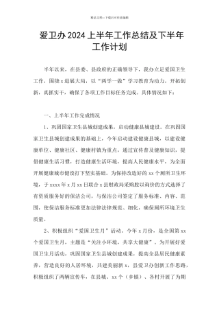 爱卫办2024上半年工作总结及下半年工作计划