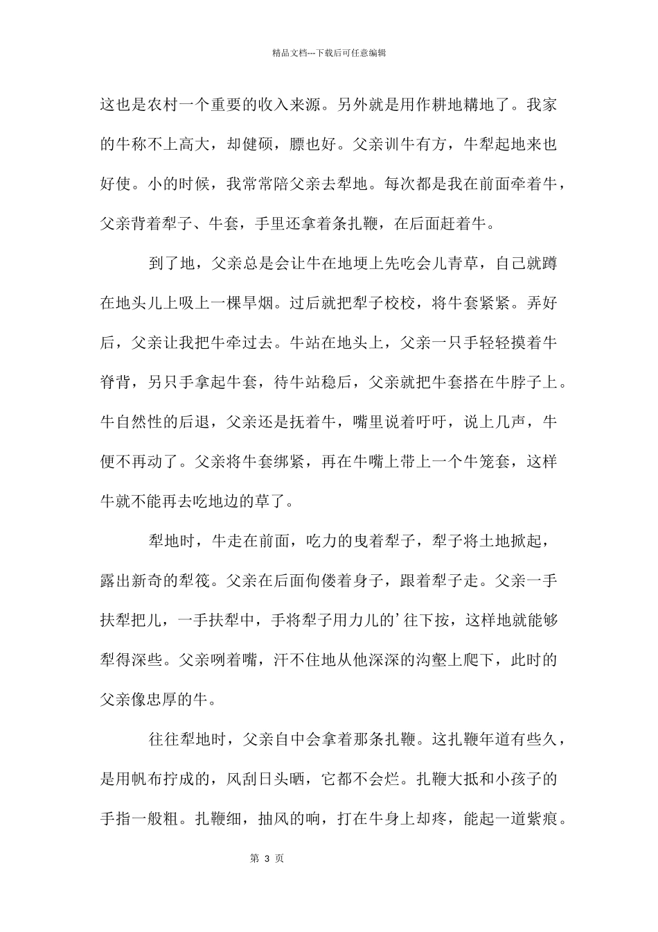 父亲的老牛作文3000字_第3页