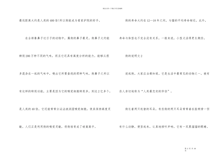 狗的说明文500字大全_第2页