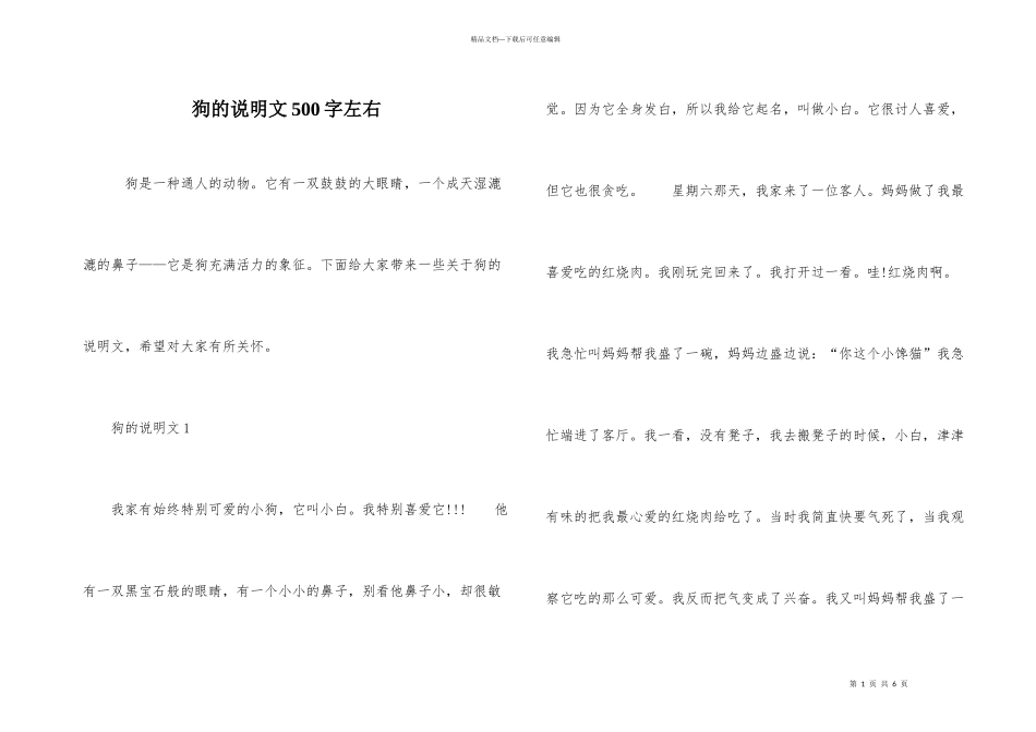 狗的说明文500字左右_第1页