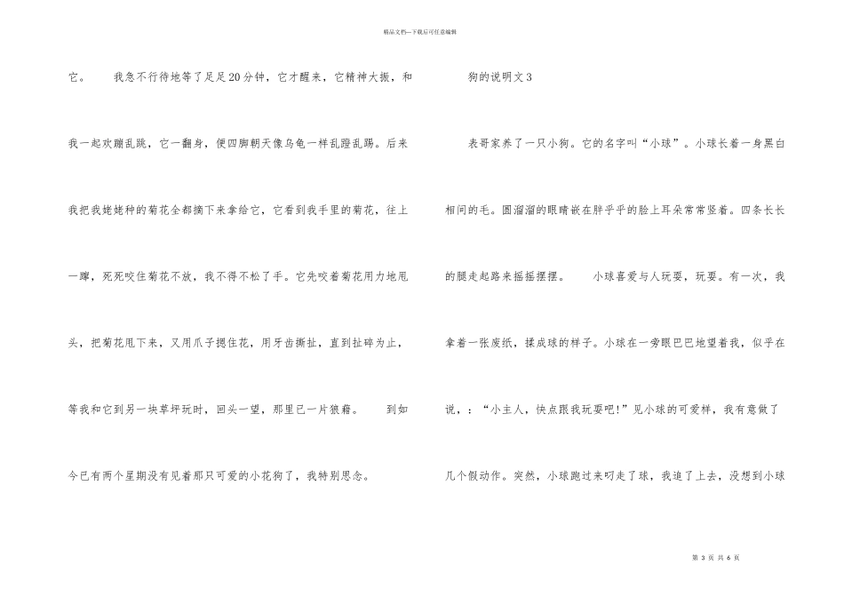 狗的说明文500字左右_第3页