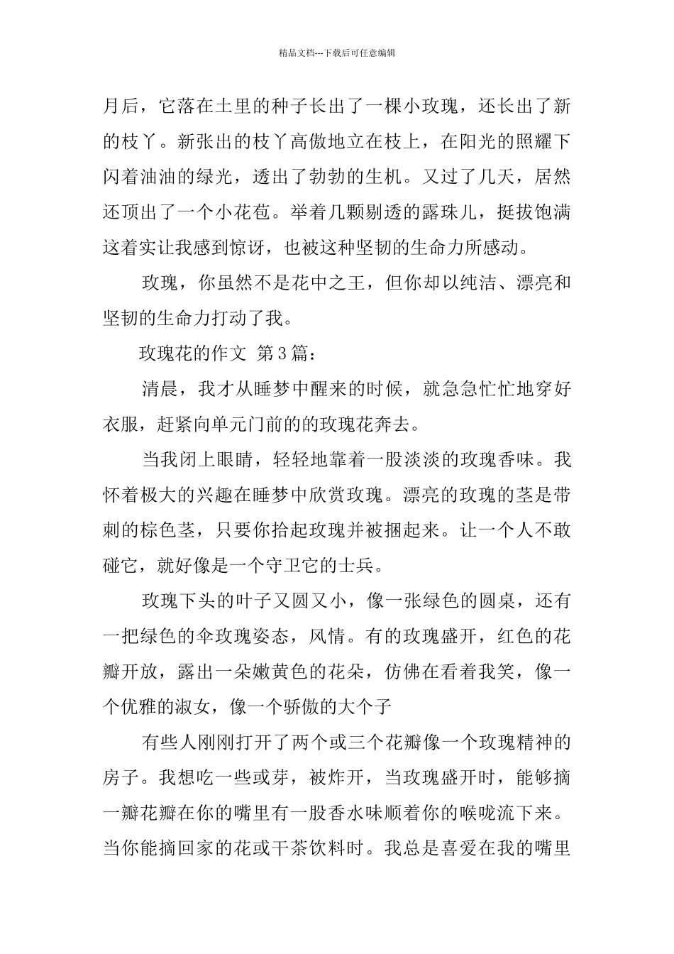 玫瑰花的作文_第3页