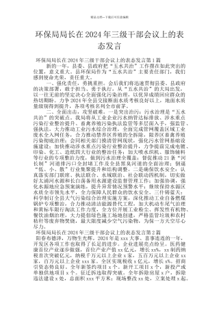 环保局局长在2024年三级干部会议上的表态发言