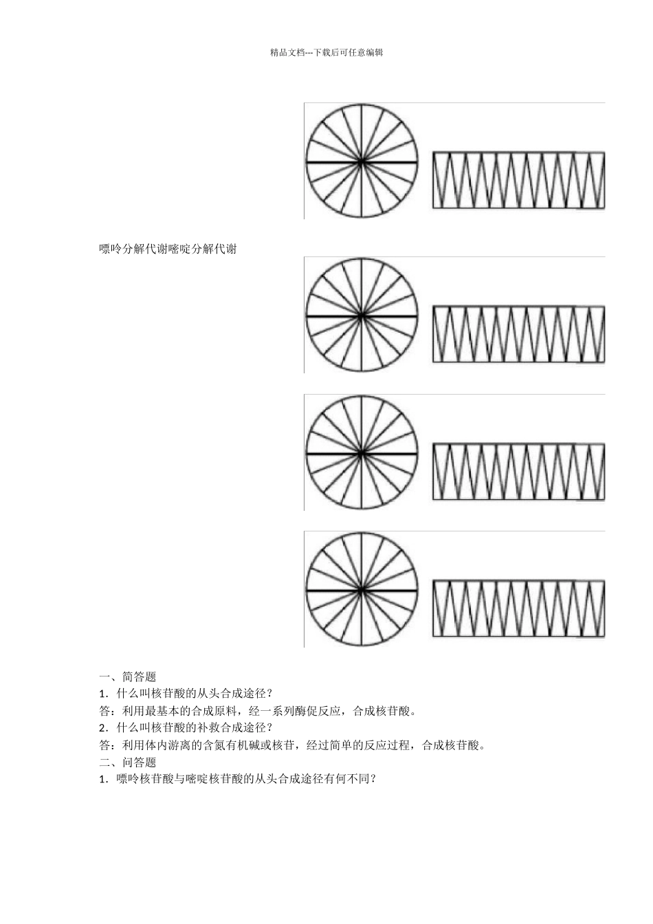 生化第十章核苷酸代谢_第2页