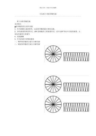 生化第十章核苷酸代谢