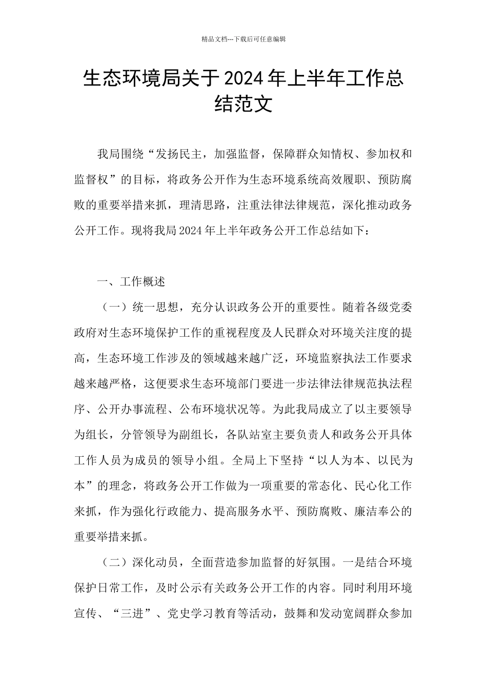 生态环境局关于2024年上半年工作总结范文_第1页