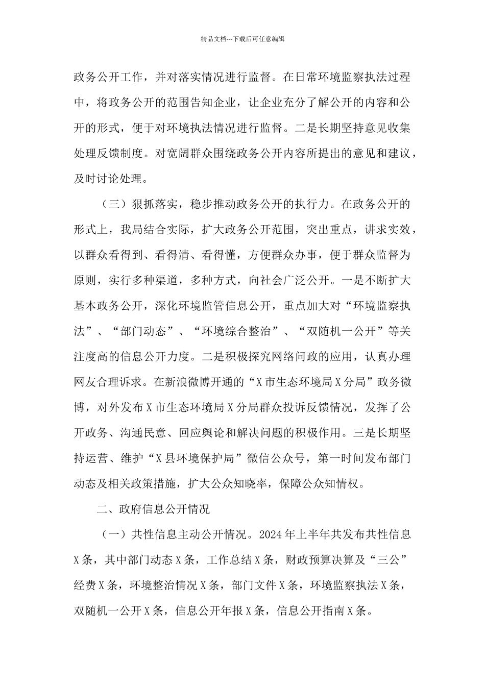 生态环境局关于2024年上半年工作总结范文_第2页