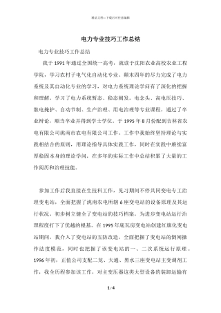 电力专业技巧工作总结