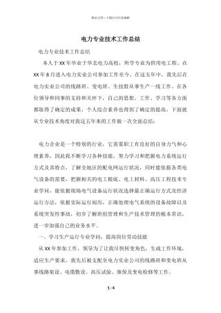 电力专业技术工作总结