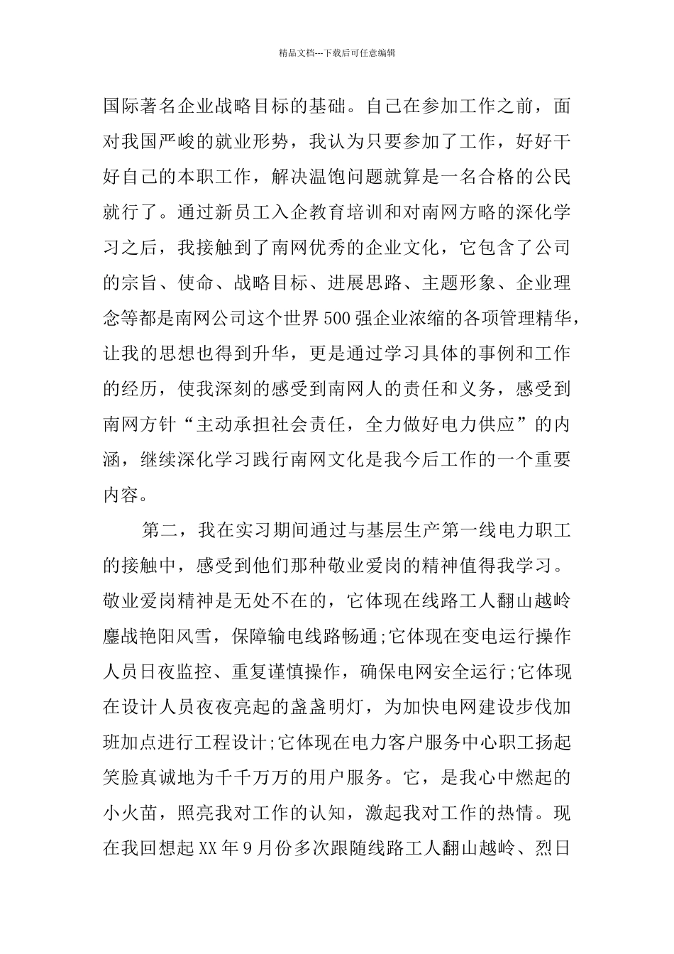 电力个人工作总结_第2页