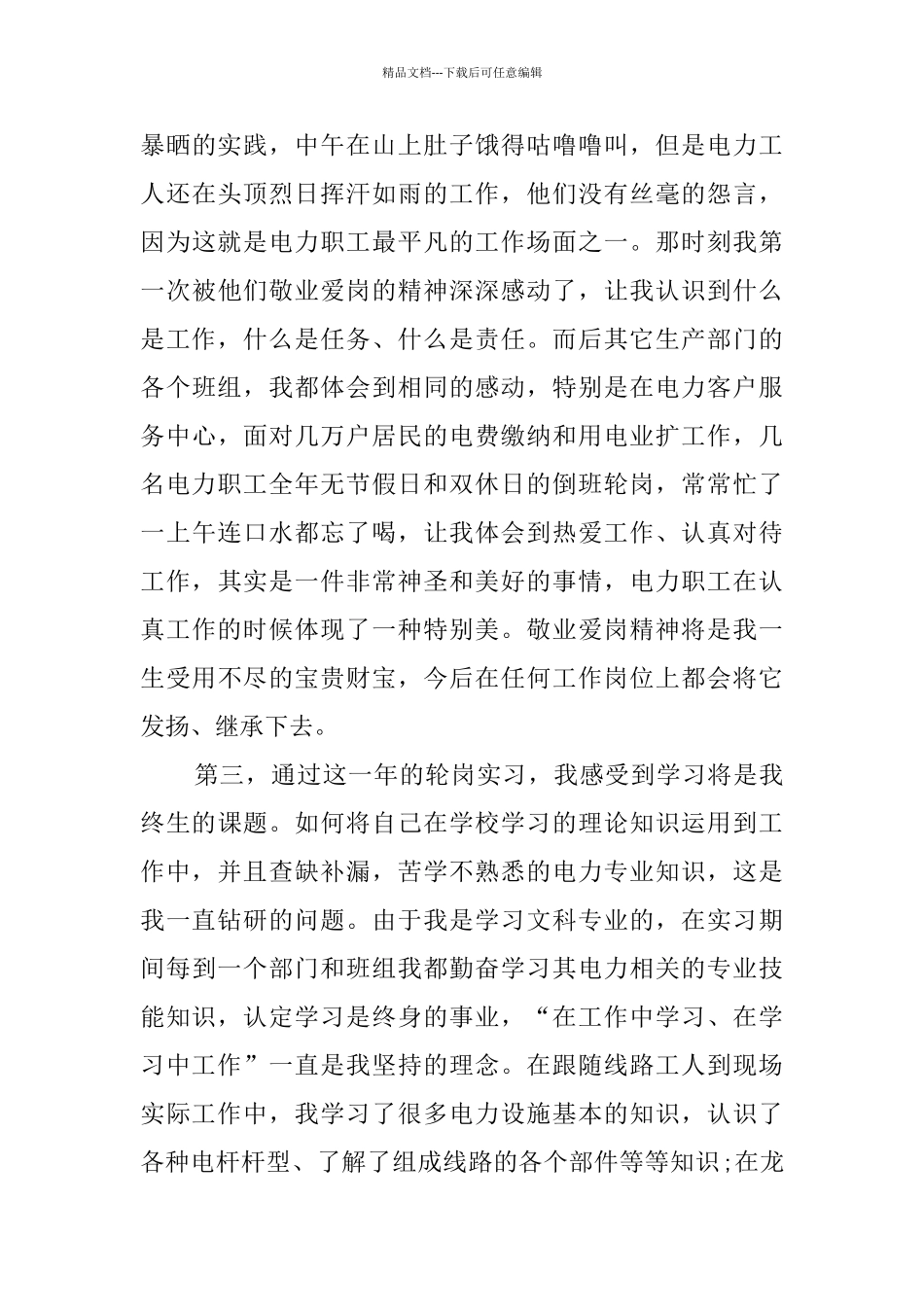 电力个人工作总结_第3页