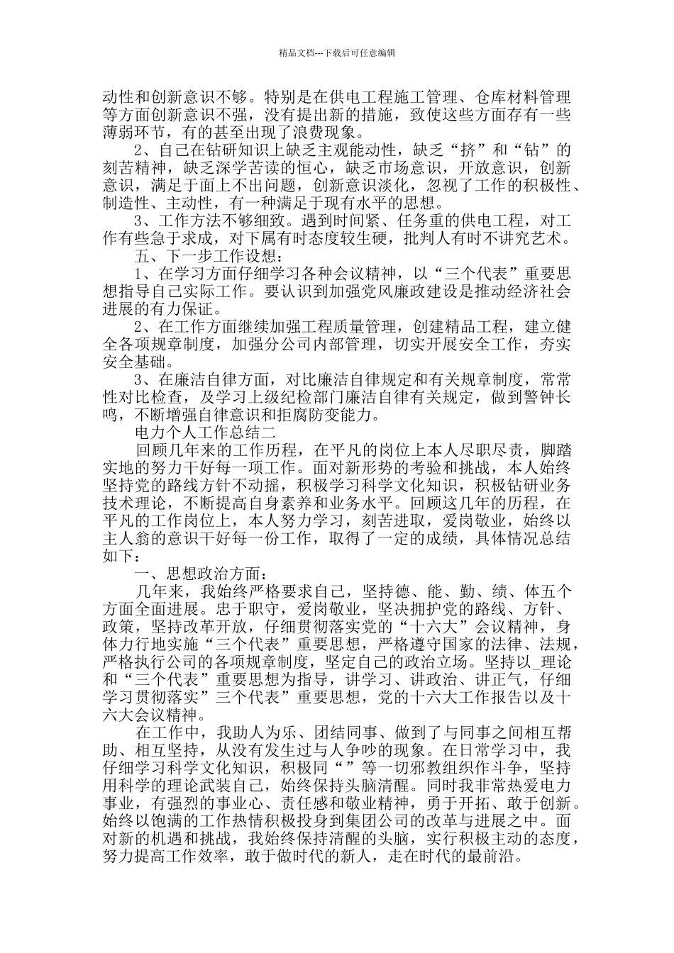 电力个人工作总结2024范文_第2页