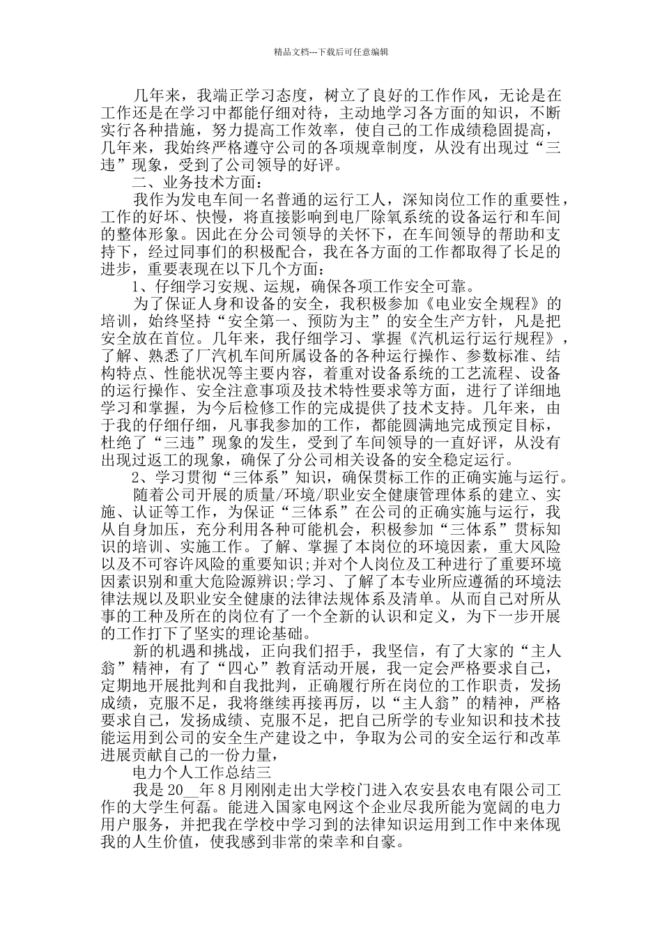 电力个人工作总结2024范文_第3页