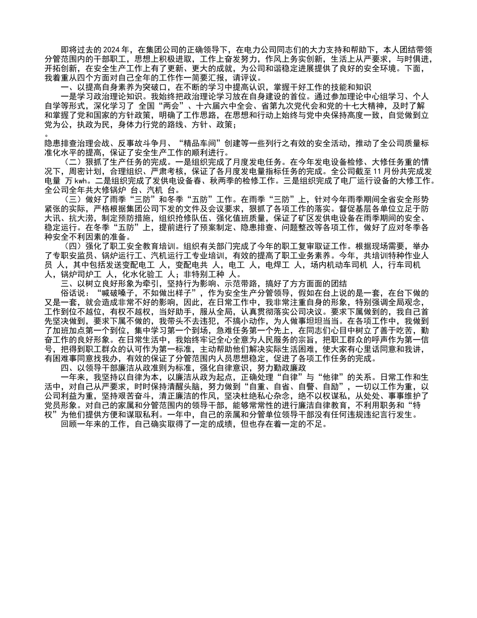 电力公司安全副经理述职报告_第1页