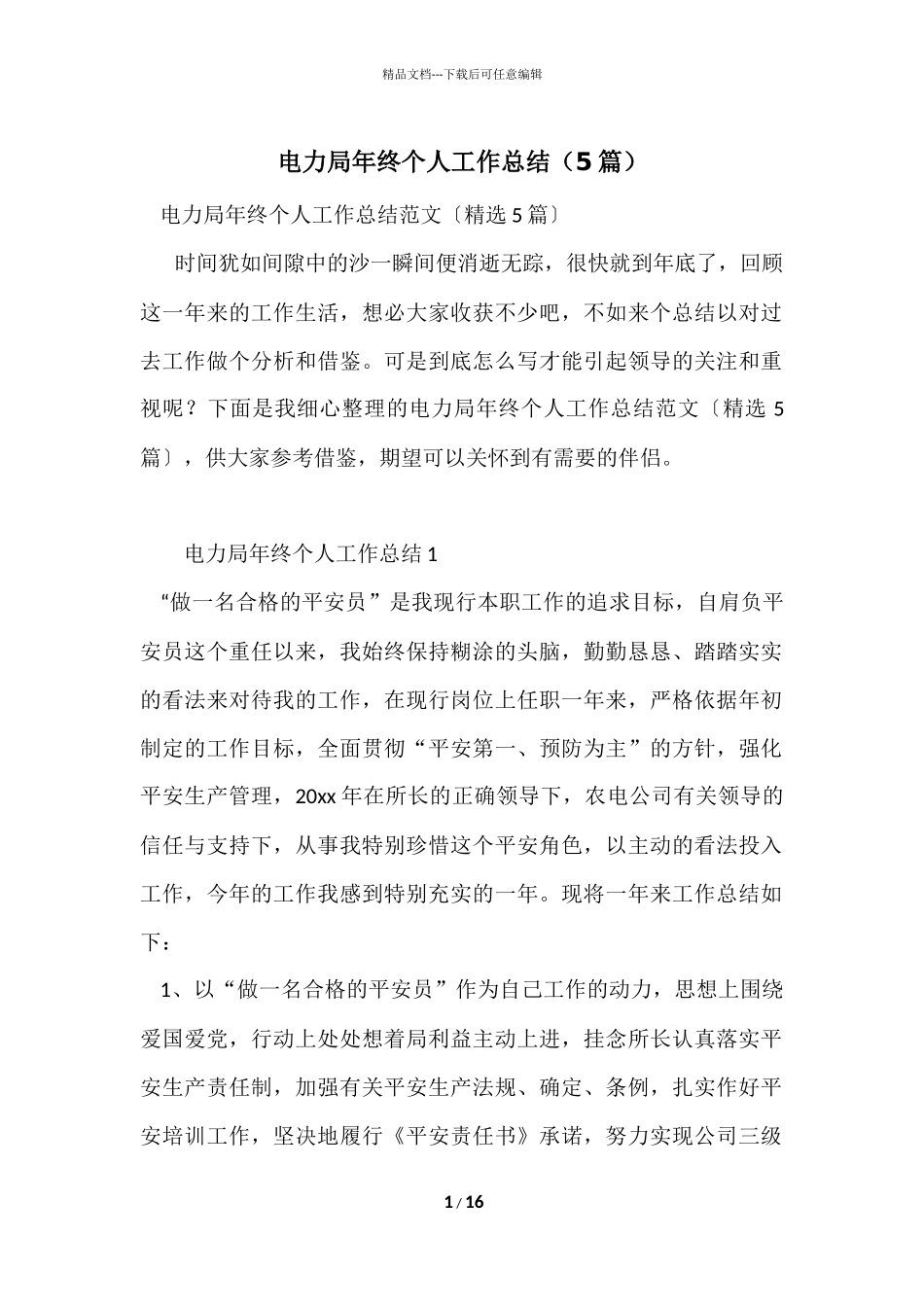 电力局年终个人工作总结（5篇）_第1页