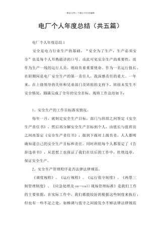 电厂个人年度总结