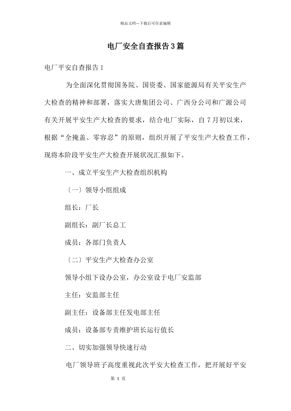 电厂安全自查报告3篇_第1页