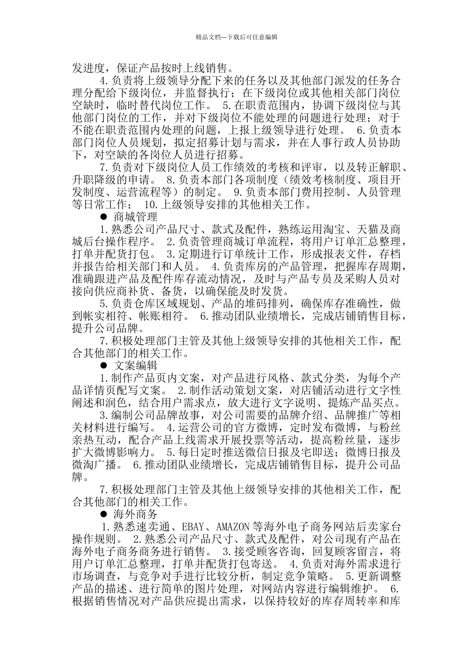 电商活动运营岗位职责说明书_第3页