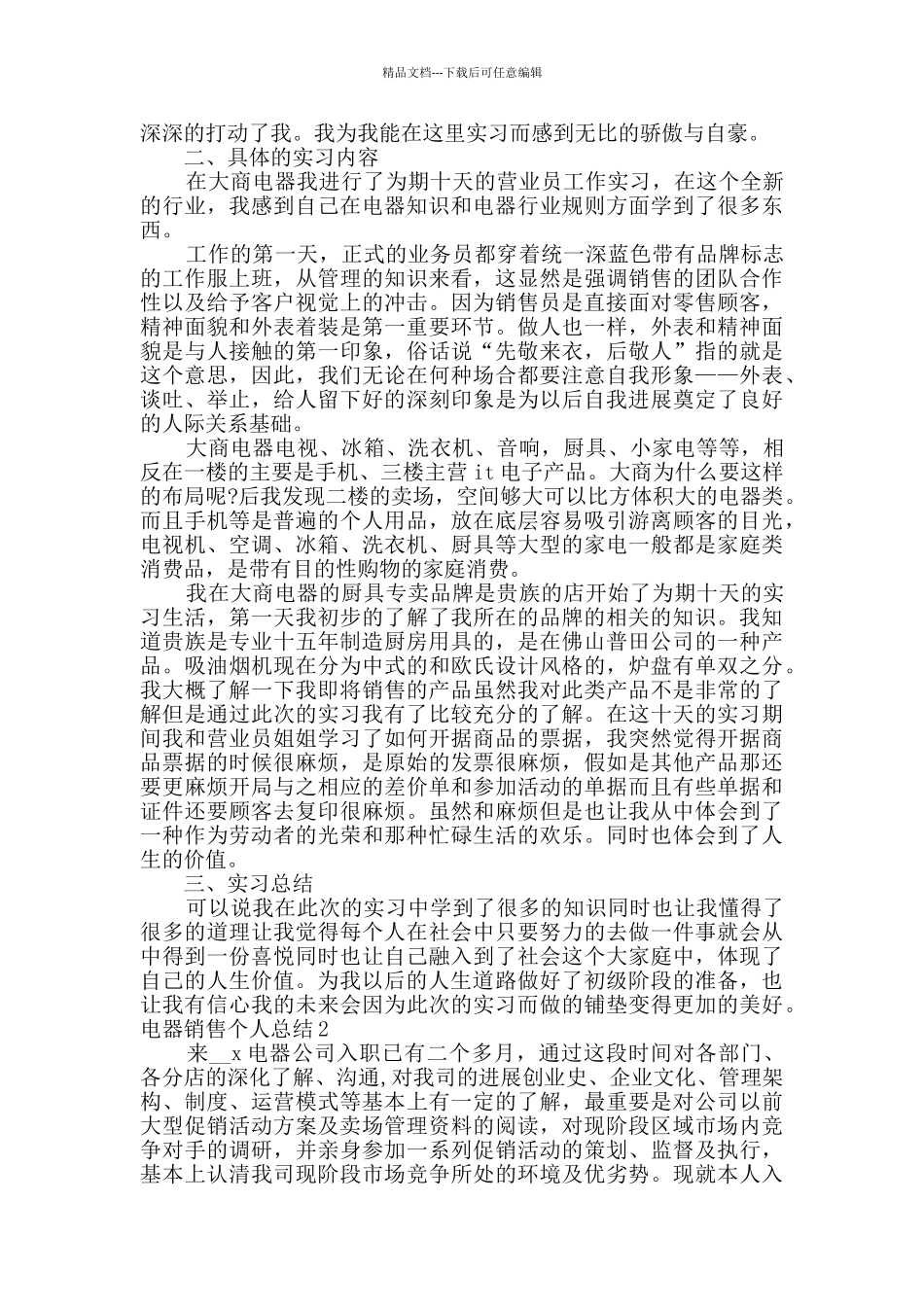 电器销售个人总结2024新版_第2页