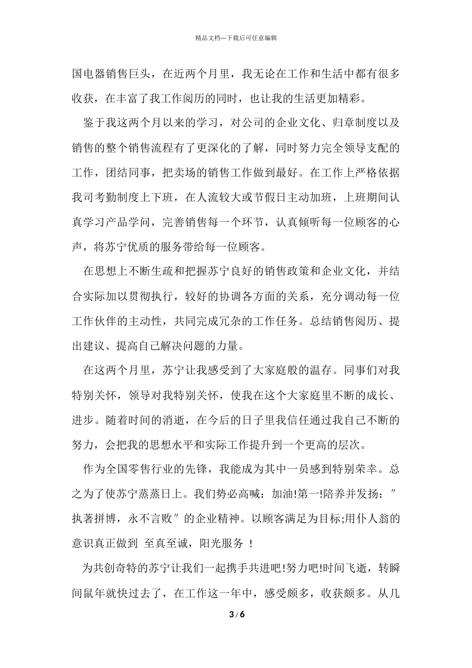 电器销售员个人年终总结_第3页