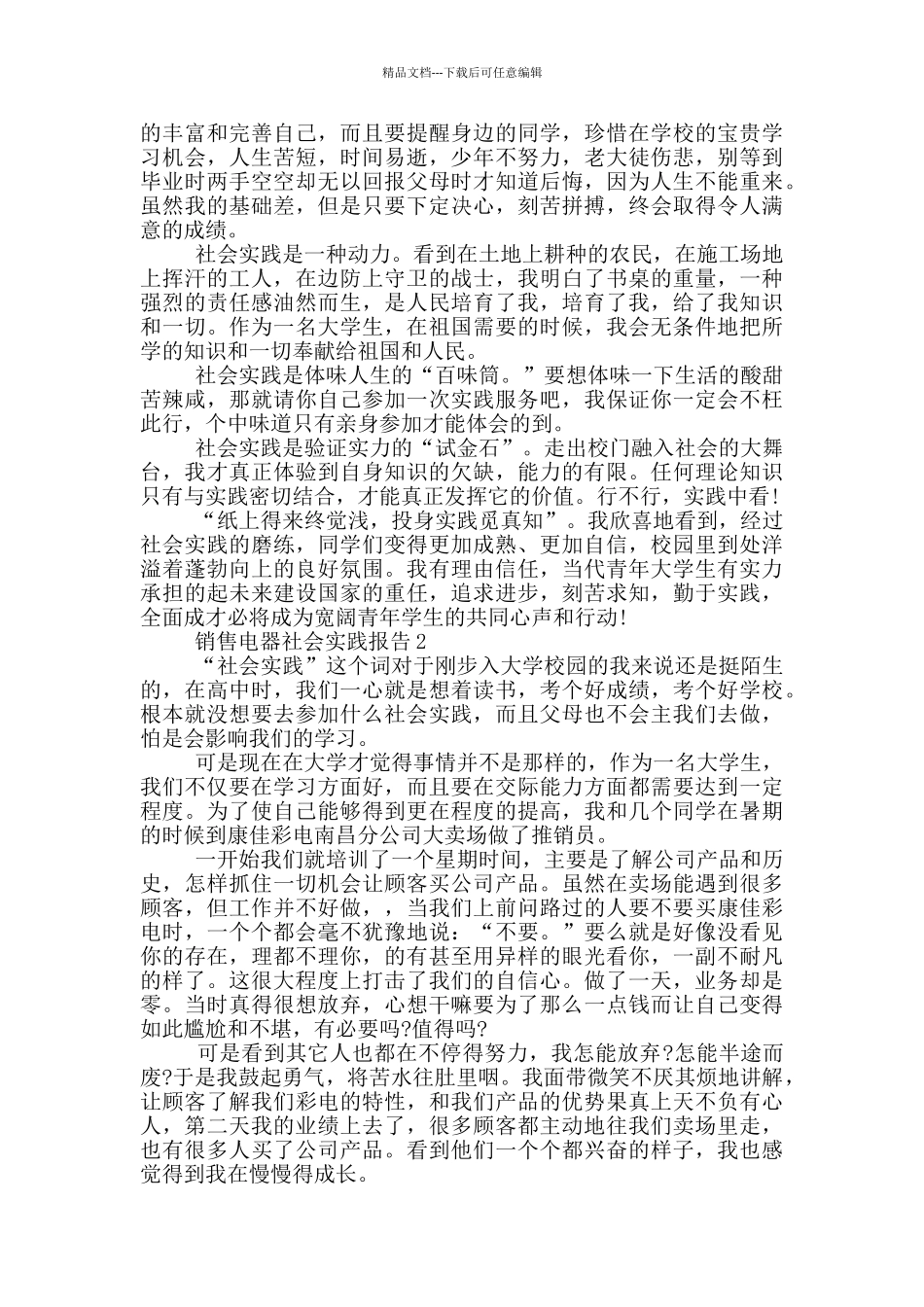 电器销售工作社会实践报告_第2页