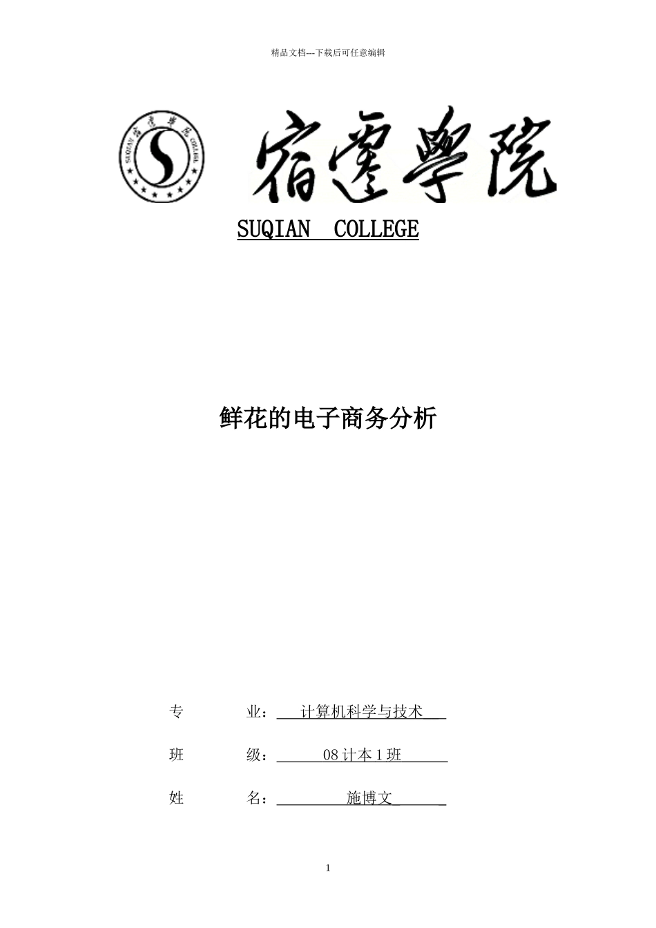 电子商务分析_第1页