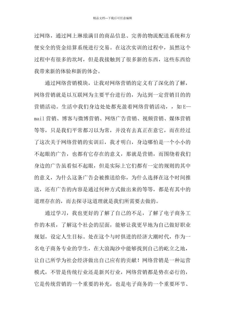 电子商务实习个人相关心得体会_第3页