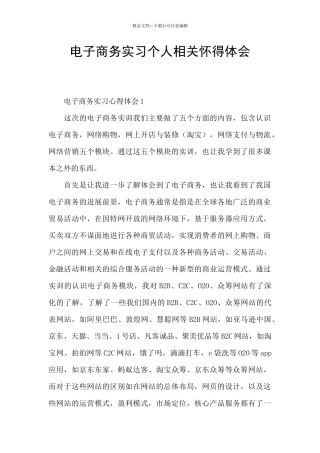 电子商务实习个人相关心得体会