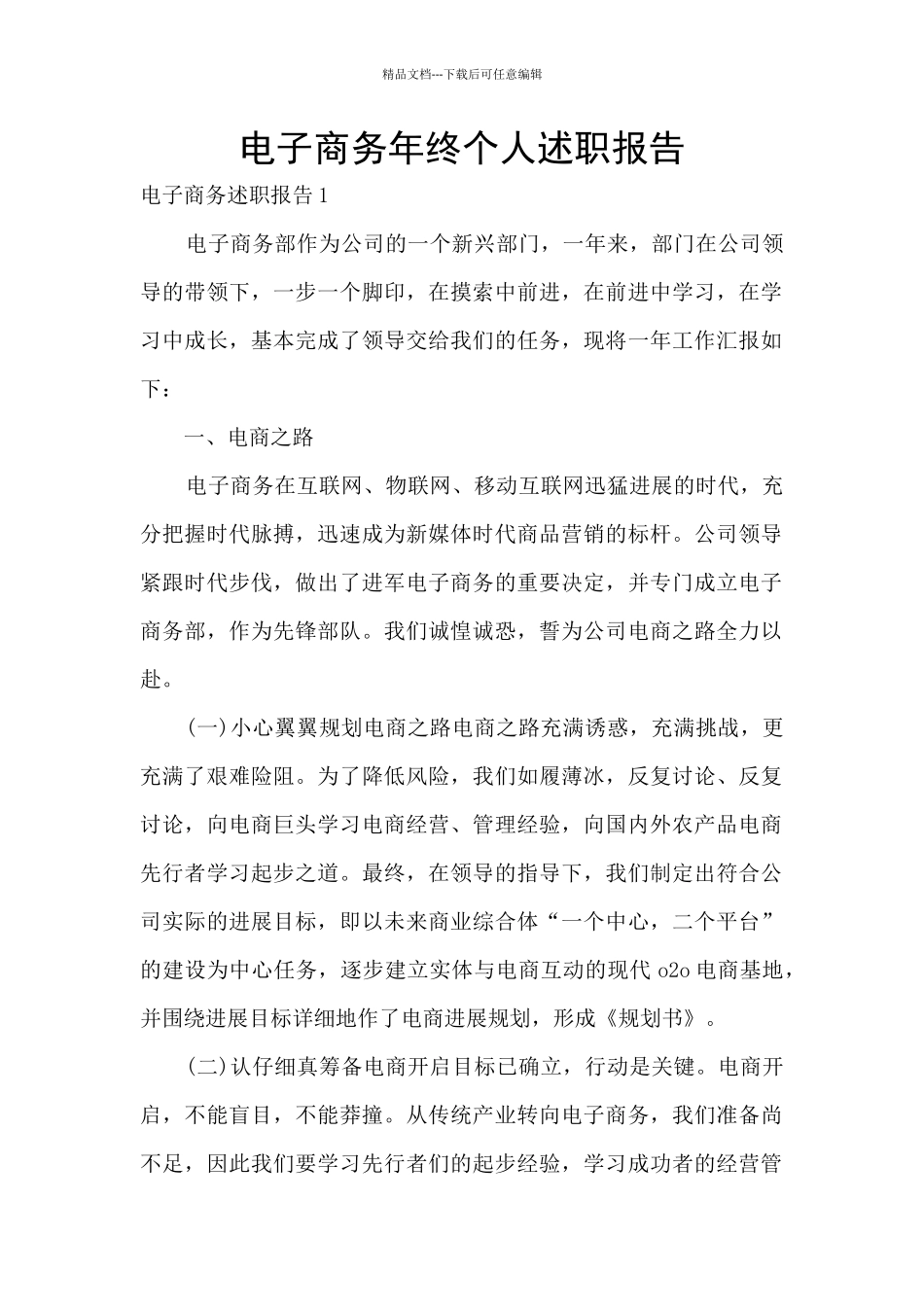 电子商务年终个人述职报告_第1页