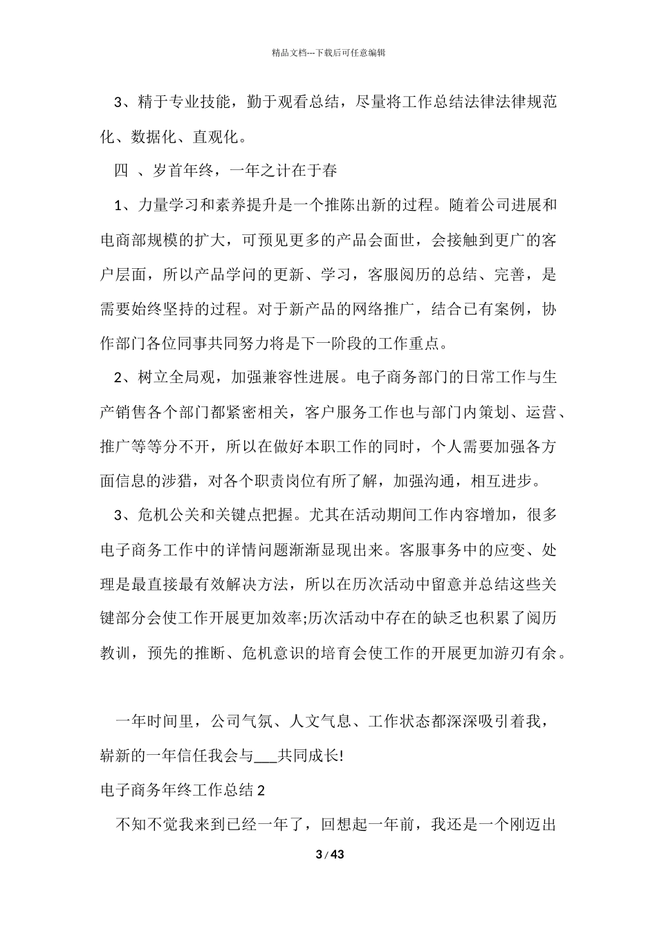 电子商务年终工作总结13篇_第3页