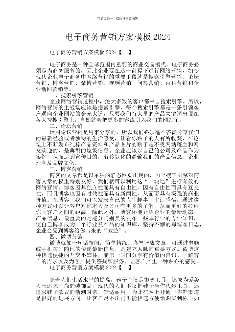 电子商务营销方案模板2024_第1页