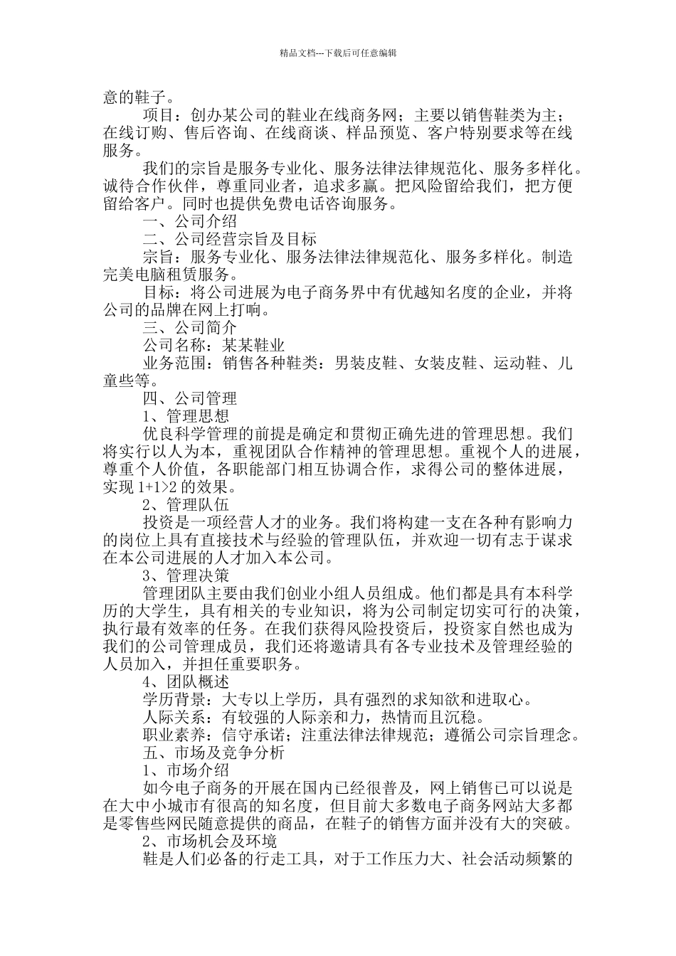 电子商务营销方案模板2024_第2页