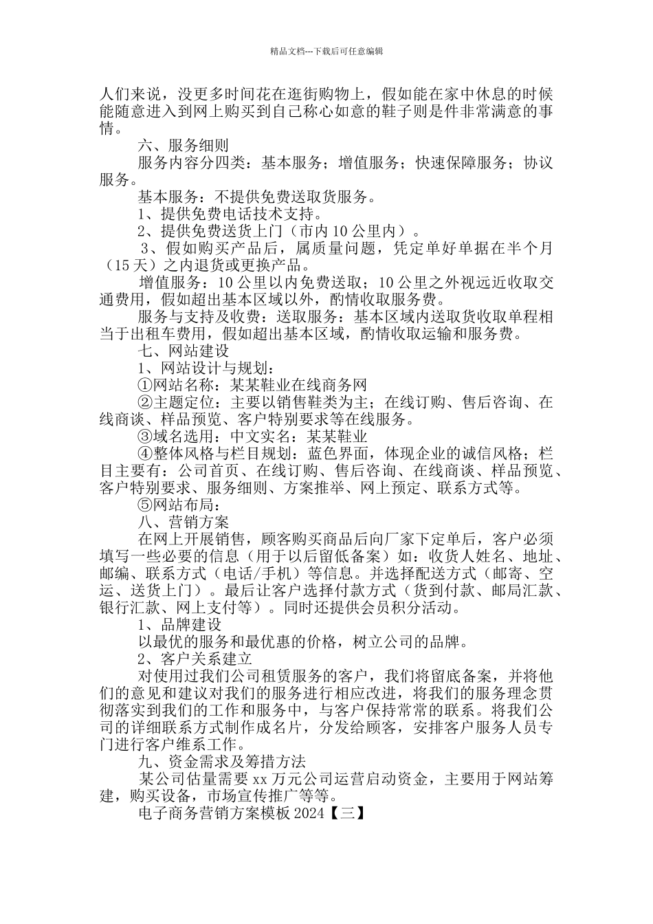 电子商务营销方案模板2024_第3页