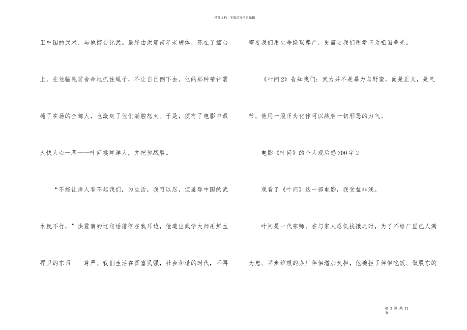电影《叶问》的个人观后感300字_第2页