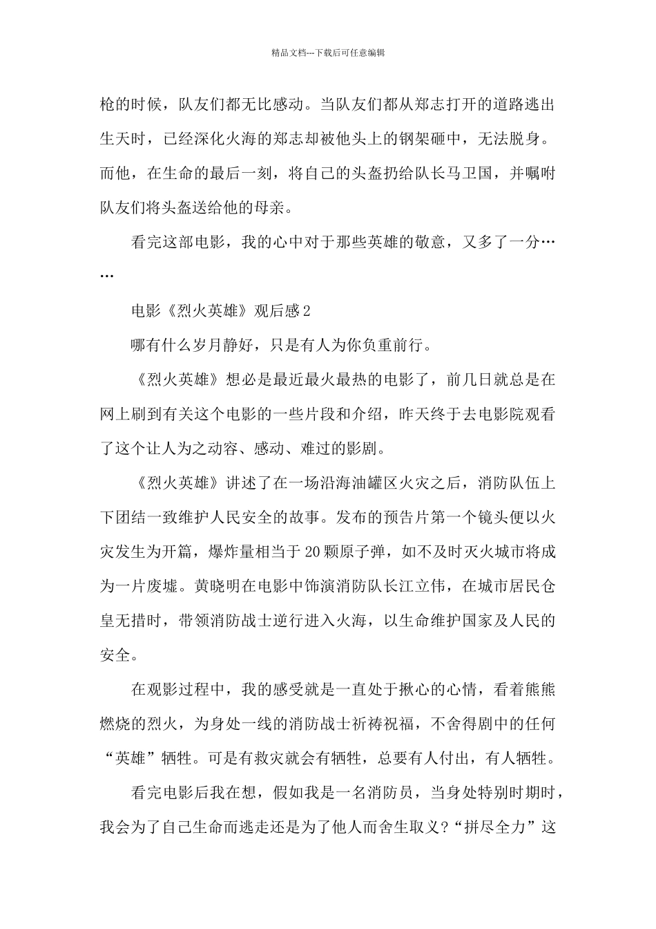 电影《烈火英雄》观后感5篇_第2页