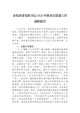 市发改委书记2024年抓基层党建工作述职报告