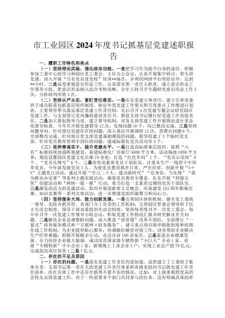 市工业园区2024年度书记抓基层党建述职报告