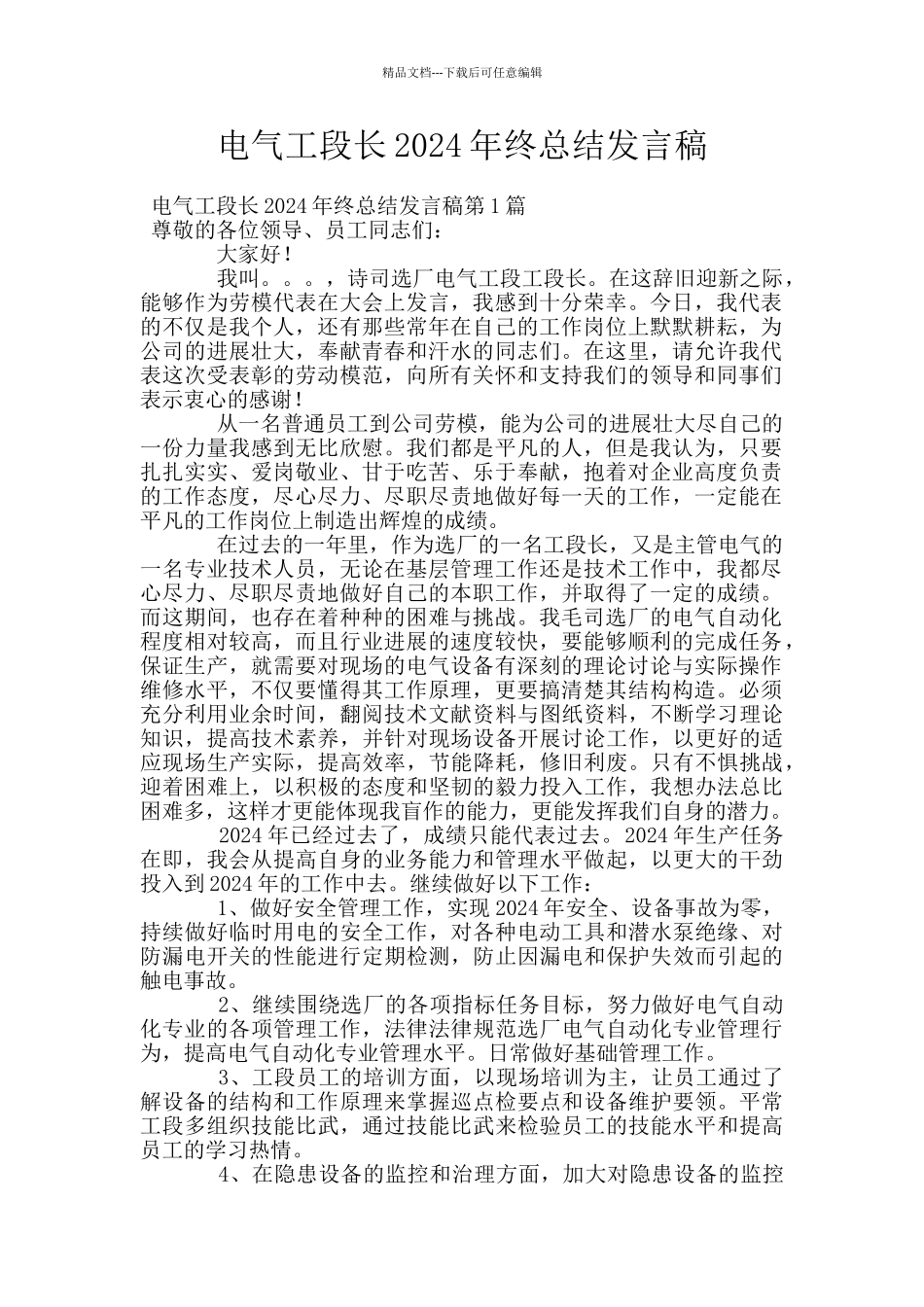 电气工段长2024年终总结发言稿_第1页