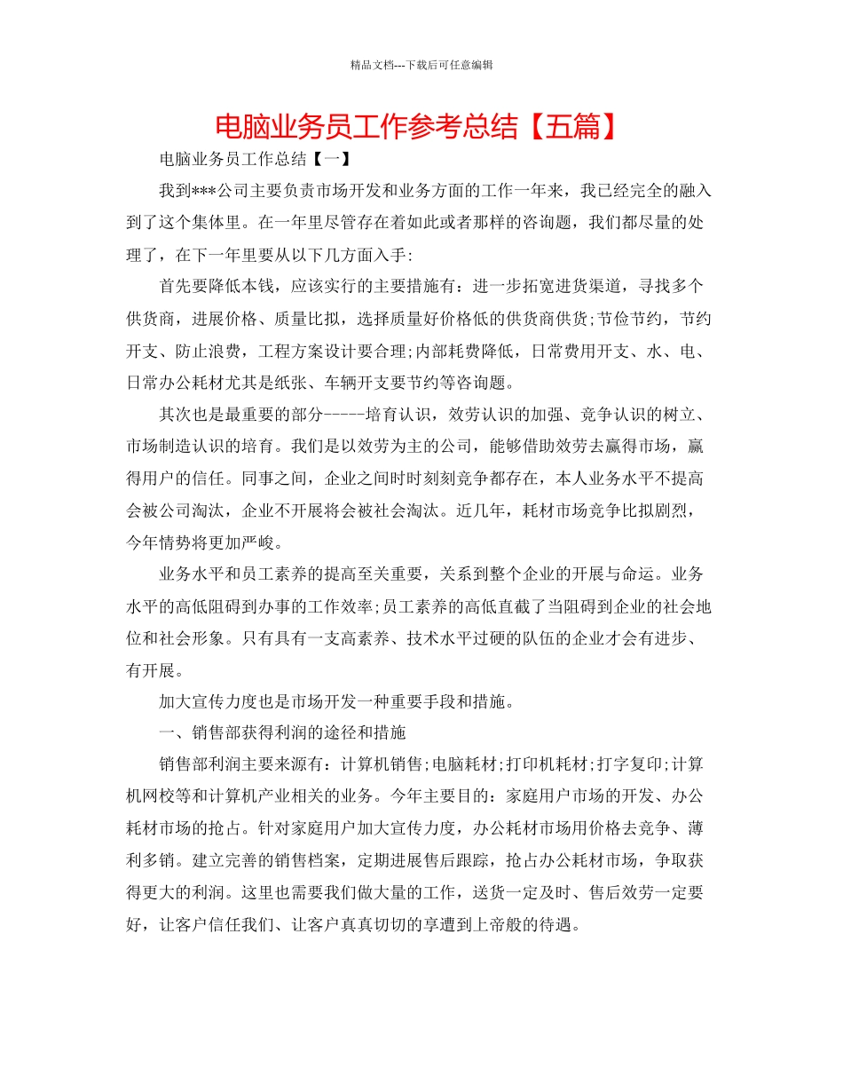 电脑业务员工作参考总结_第1页