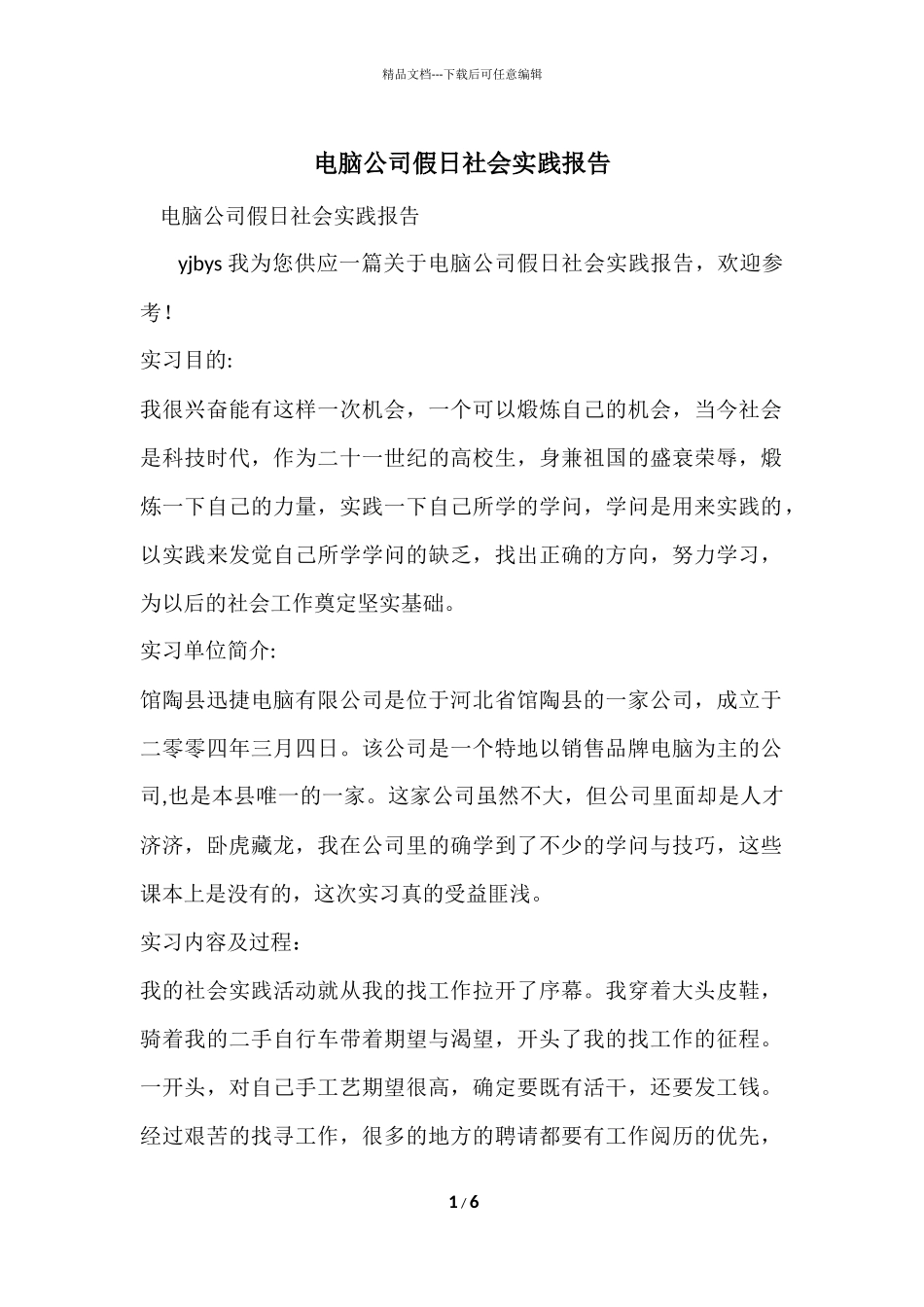 电脑公司假日社会实践报告_第1页