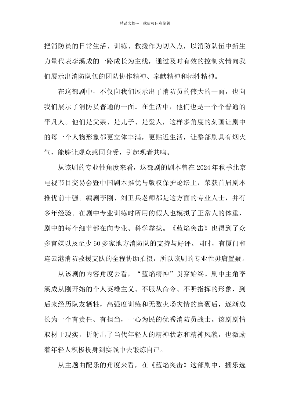 电视剧《蓝焰突击》影评_第3页