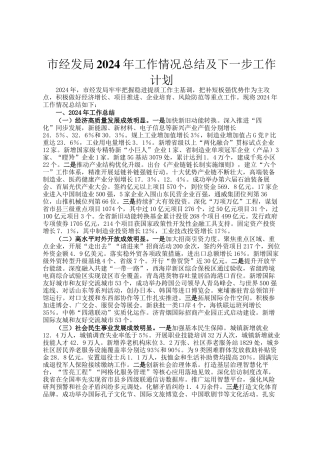 市经发局2024年工作情况总结及下一步工作计划