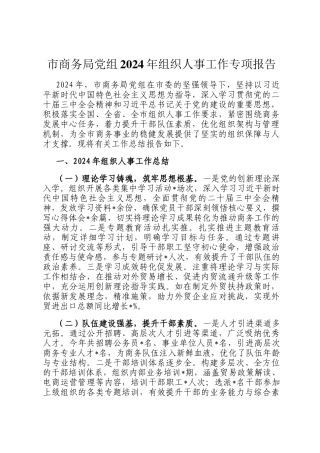 市商务局党组2024年组织人事工作专项报告