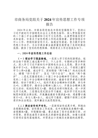 市商务局党组关于2024年宣传思想工作专项报告